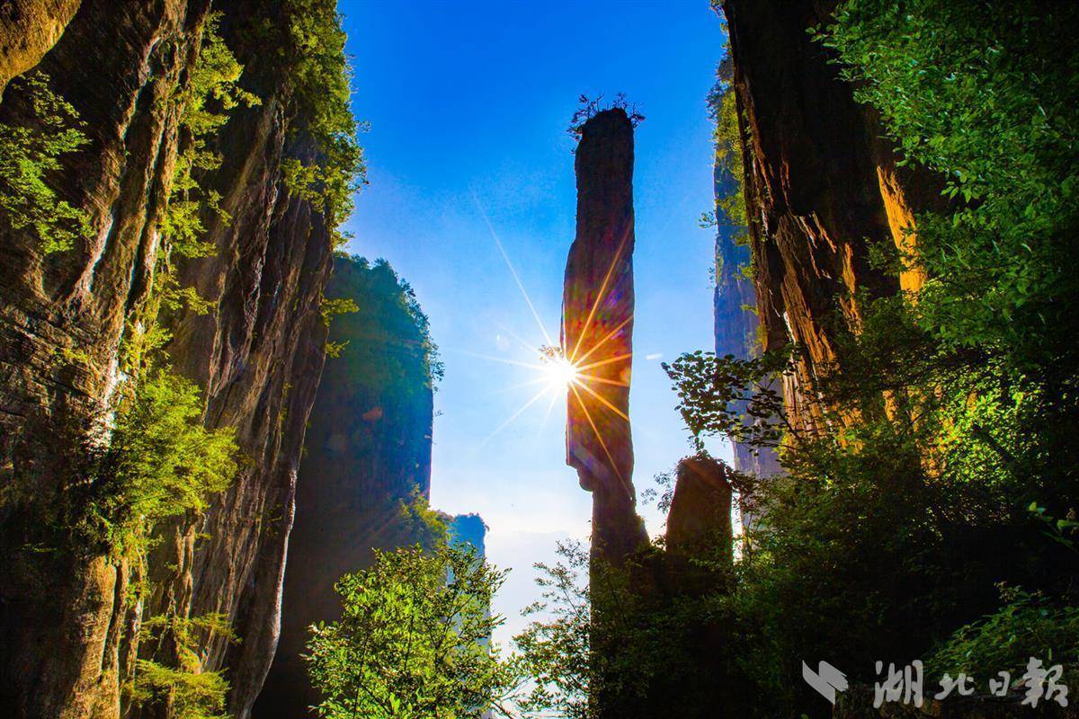 太阳城电子游戏网站